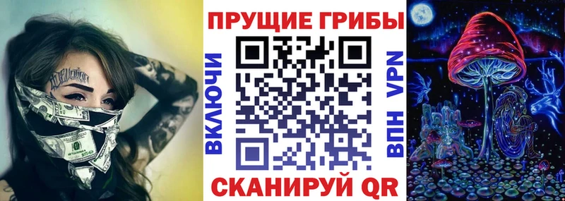 OMG магазин продажи наркотиков Тосно Псилоцибиновые грибы Psilocybine cubensis